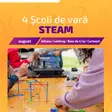 Patru Școli de Vară STEAM gratuite pentru copii, organizate de Fundația Comunitară Timișoara în Timiș, Arad și Hunedoara