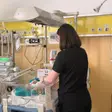 Curs internațional de ecografie pediatrică