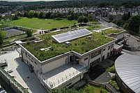 Acoperisul verde pentru terasa – inovatia care te va aduce mai aproape de natura