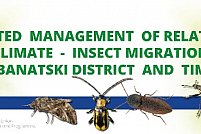 Sistemul integrat pentru supravegherea în timp real a migrației insectelor în aria transfrontalieră RO-RS este operaționalizat